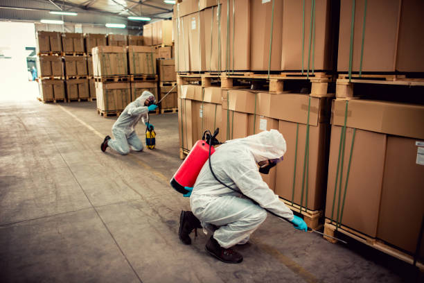 Best Pest Inspection Near Me  in Rapids, NY