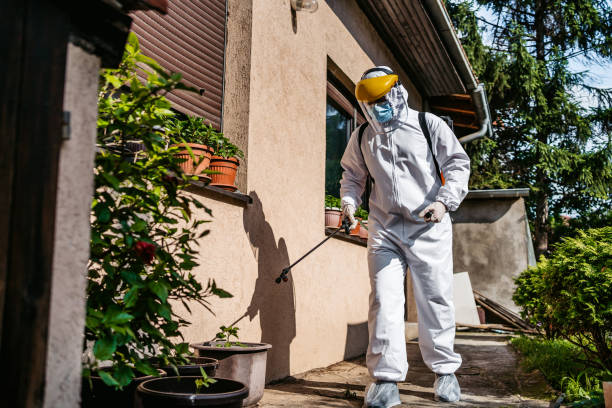 Best Affordable Pest Control Services  in Rapids, NY