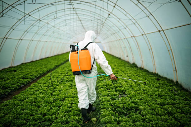 Best Pest Control Near Me  in Rapids, NY