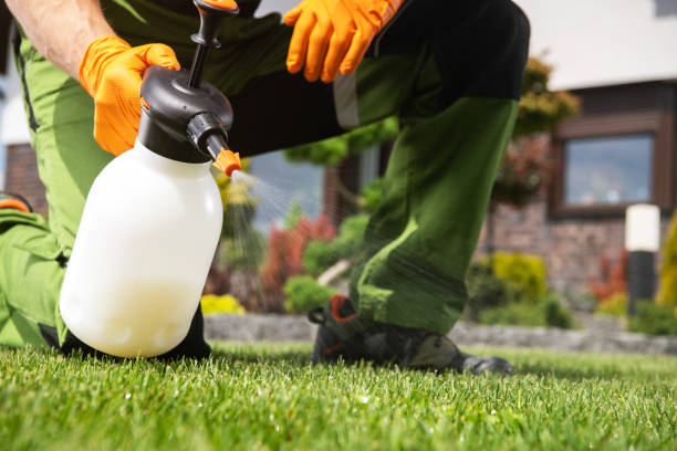 Best Exterminator Services  in Rapids, NY