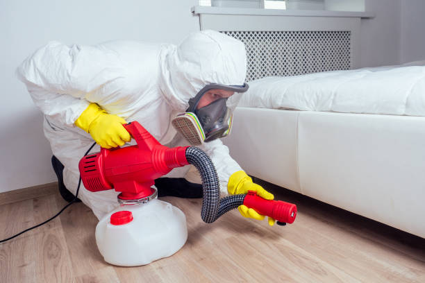 Reliable Rapids, NY Pest Control Solutions