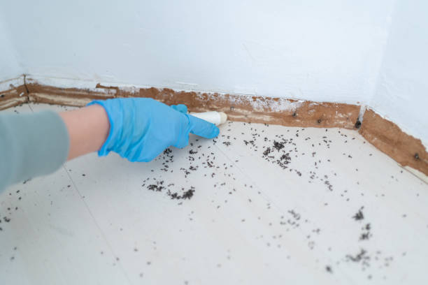 Best Best Pest Control Companies  in Rapids, NY