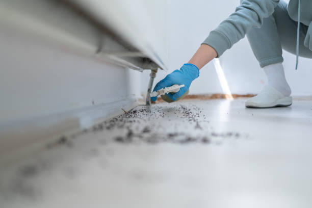 Best Residential Pest Control  in Rapids, NY